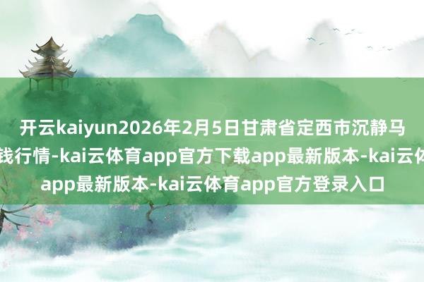 开云kaiyun2026年2月5日甘肃省定西市沉静马铃薯轮廓交游中心价钱行情-k